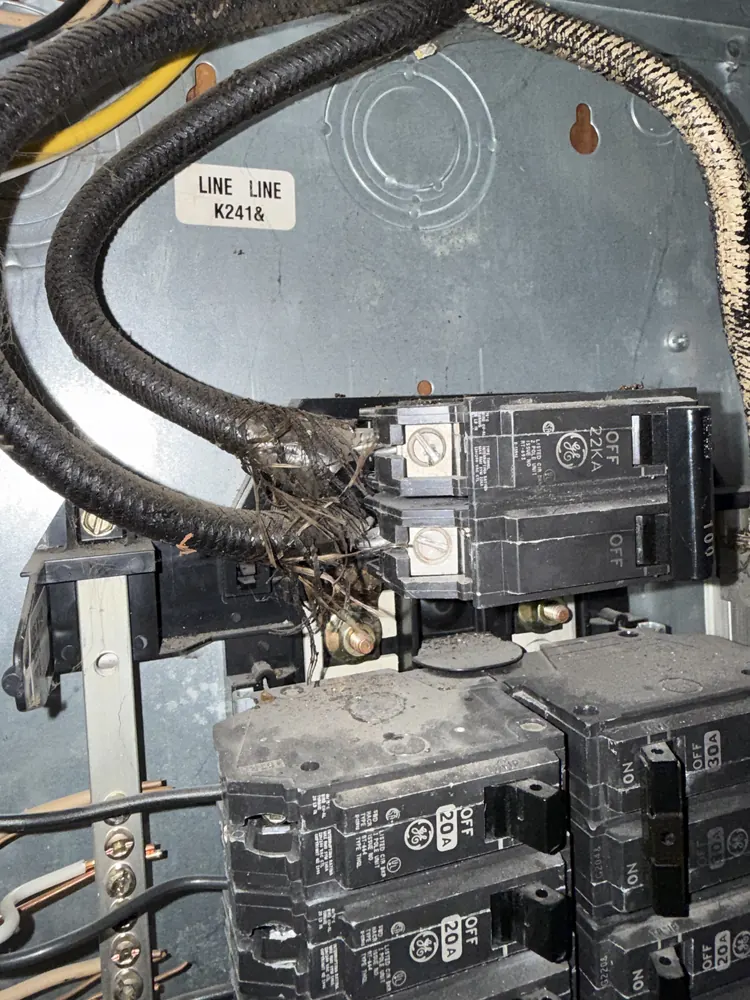 Cloth-insulated conductors with frayed, deteriorated insulation at the main breaker of a 1950s electrical panel
