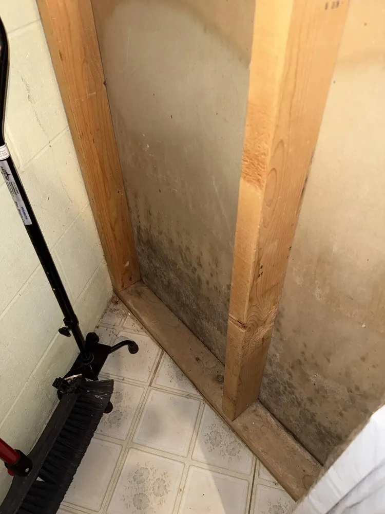 Mold growth on drywall identified during an HOI inspection